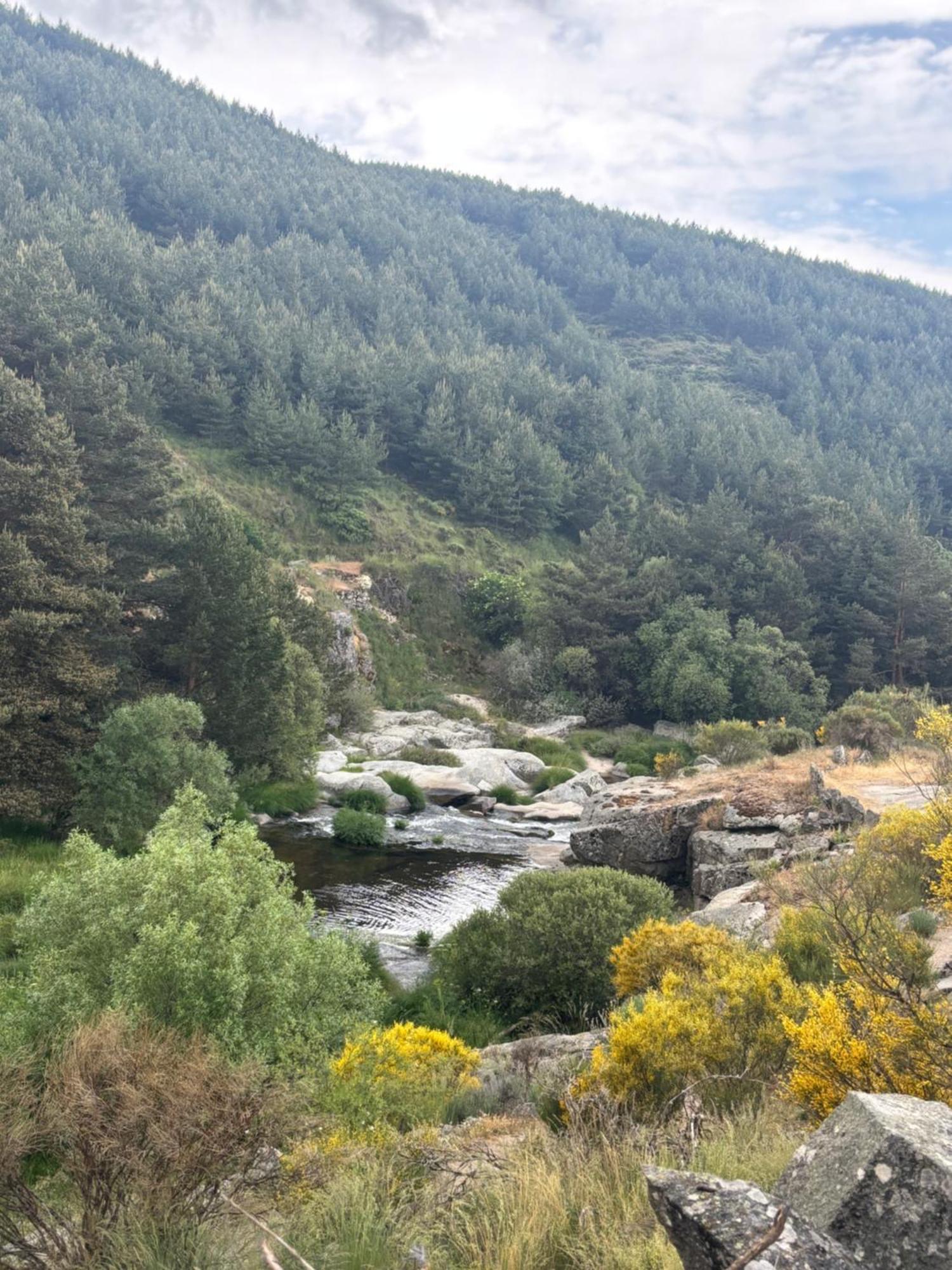 Villa De Gredos Navarredonda de Gredos Exteriér fotografie